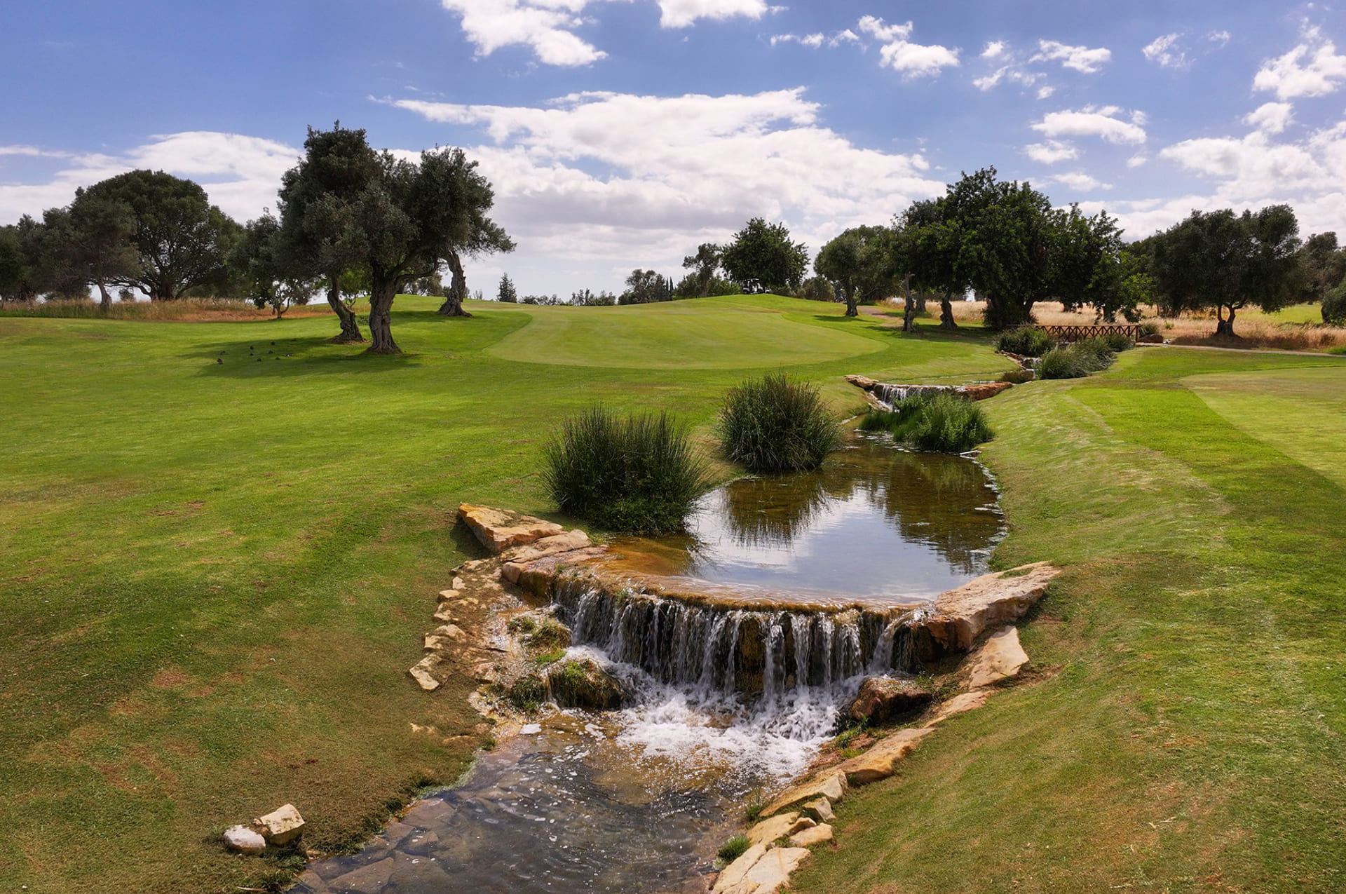 50_Quinta_de_Cima_16