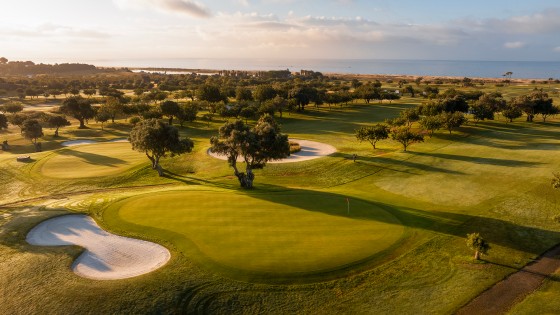 DHM Golf Festival